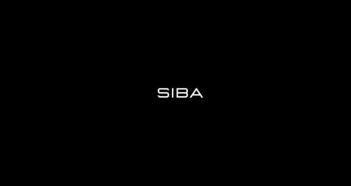 Salif Sibane – Siba Ecom Mastermind: Complete Guide for Entrepreneurs