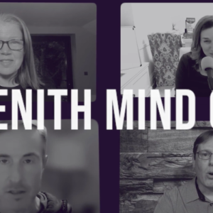 https://allcoursesavailable.com/product/rich-schefren-zenithmind-os-2026/